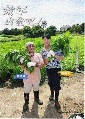 河南影视网综艺节目古都夜航海报